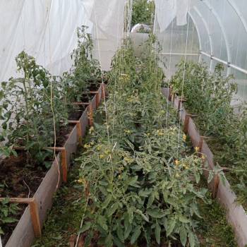 Продается Дом, 25 м²