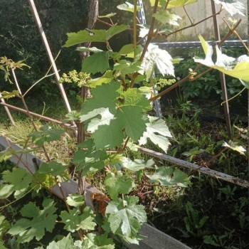 Продается Дом, 25 м²