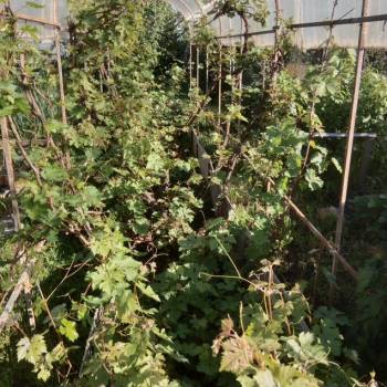 Продается Дом, 25 м²