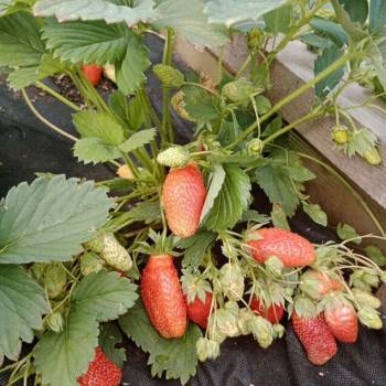 Продается Дом, 25 м²