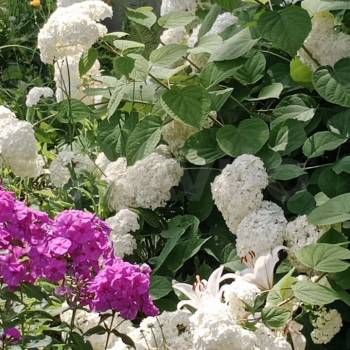 Продается Дом, 25 м²