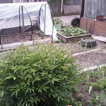 Продается Дом, 40 м²