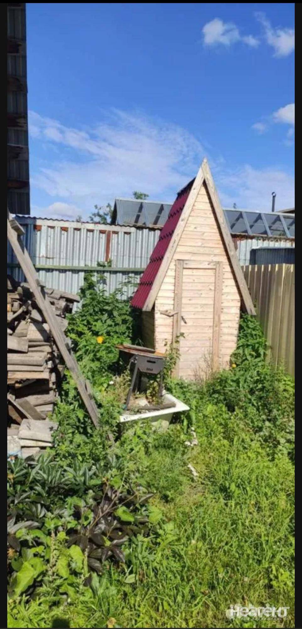 Фотография №5