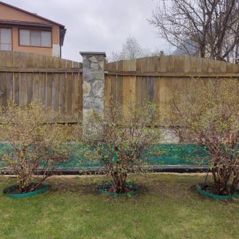 Продается Дом, 113 м²