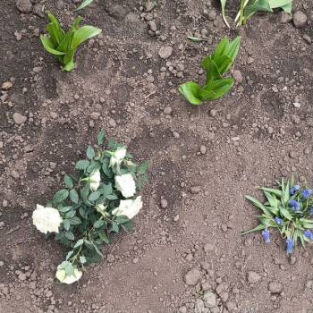 Продается Дом, 20 м²