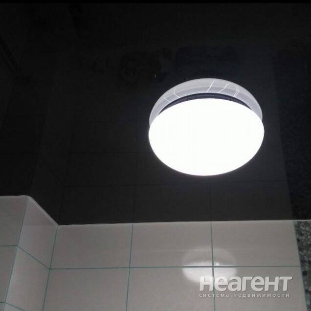 Фотография №5