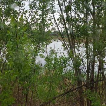 Продается Участок, 600 м²