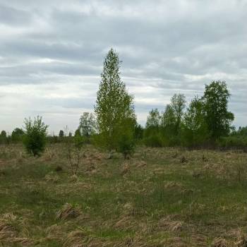 Продается Участок, 600 м²