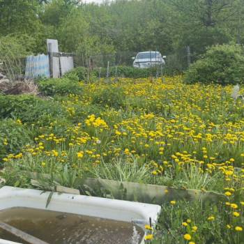 Продается Дом, 50 м²