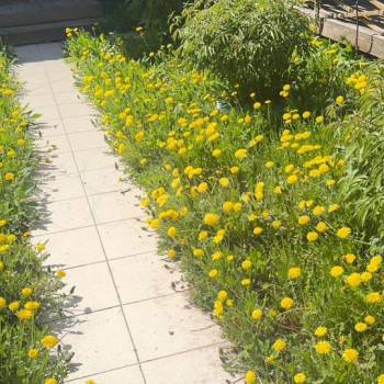 Продается Дом, 50 м²