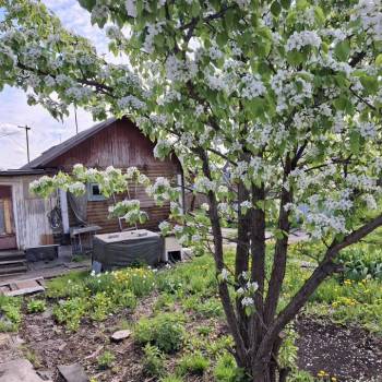 Продается Участок, 800 м²