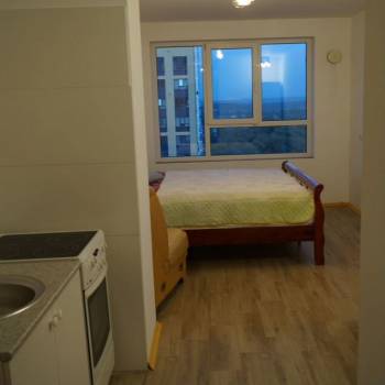 Продается 1-комнатная квартира, 24,2 м²