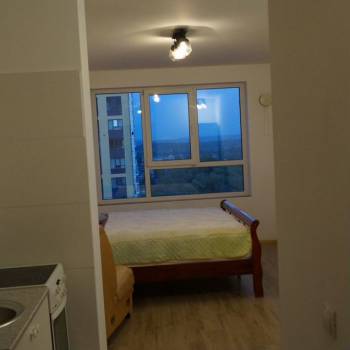 Продается 1-комнатная квартира, 24,2 м²