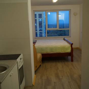 Продается 1-комнатная квартира, 24,2 м²