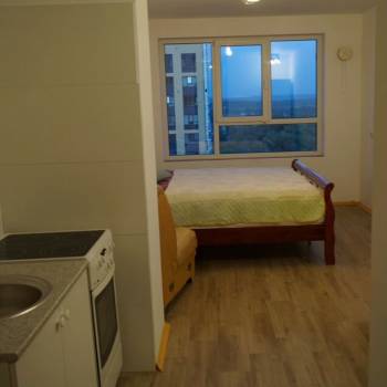 Продается 1-комнатная квартира, 24,2 м²