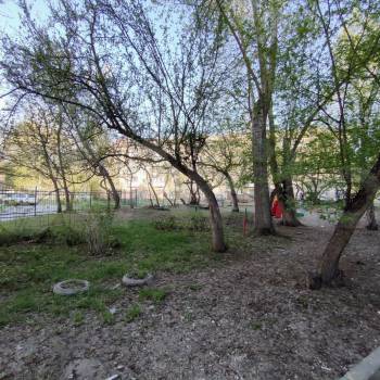 Сдается 2-х комнатная квартира, 44 м²