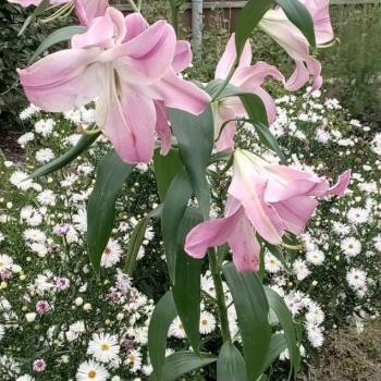 Продается Участок, 400 м²