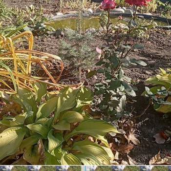 Продается Участок, 400 м²