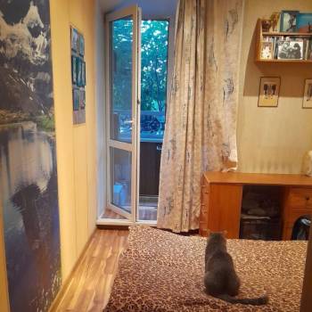 Продается 1-комнатная квартира, 38,4 м²