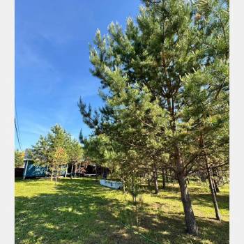 Продается Дом, 48 м²