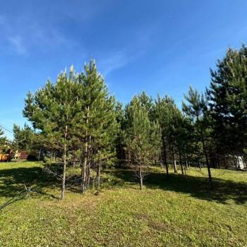 Продается Дом, 48 м²