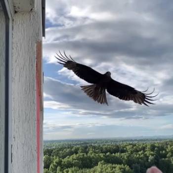 Продается 1-комнатная квартира, 38,7 м²