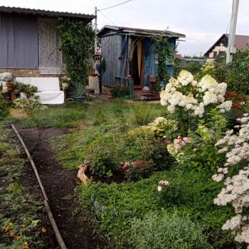 Продается Дом, 10 м²