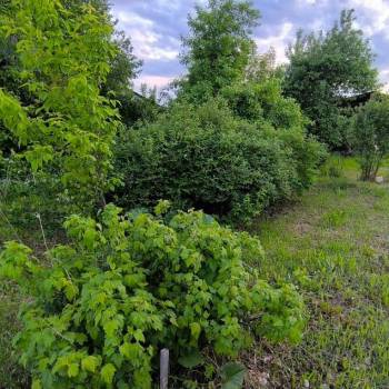 Продается Участок, 740 м²