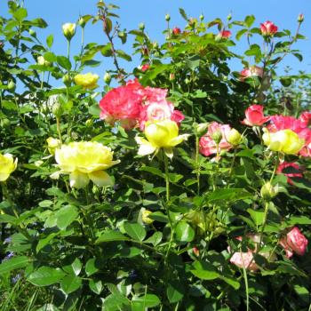 Продается Дом, 70 м²