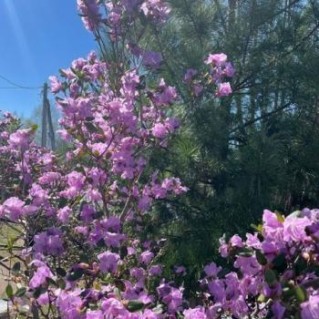 Продается Дом, 70 м²