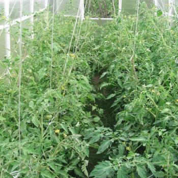 Продается Дом, 70 м²