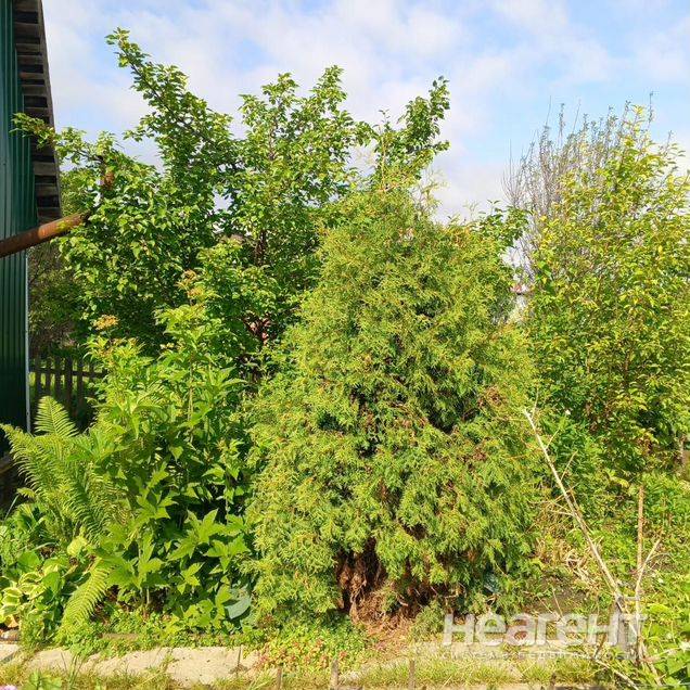 Фотография №2