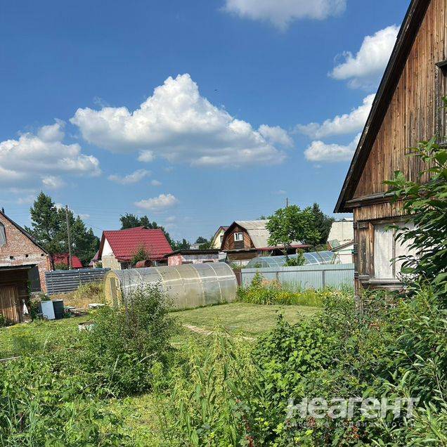 Фотография №3