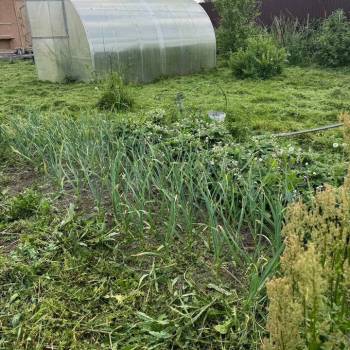 Продается Участок, 1000 м²