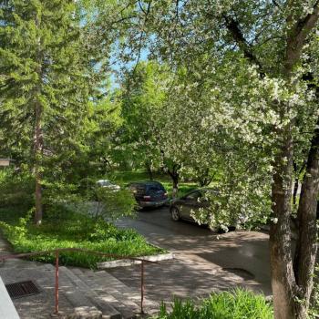 Продается 1-комнатная квартира, 31 м²