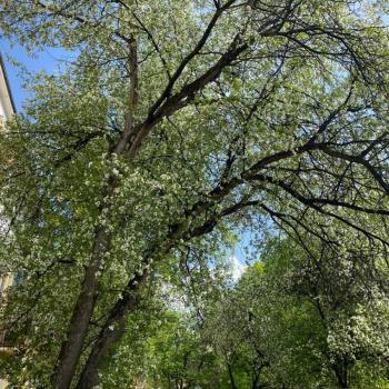 Продается 1-комнатная квартира, 31 м²