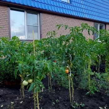 Продается Дом, 97 м²