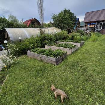 Продается Дом, 40 м²