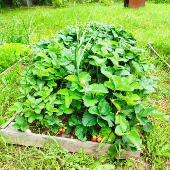 Продается Участок, 830 м²