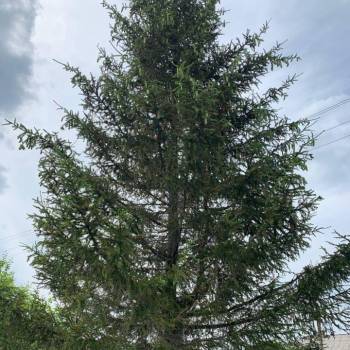 Продается Дом, 70 м²