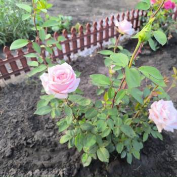 Продается Участок, 500 м²