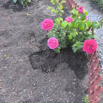 Продается Участок, 500 м²