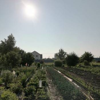 Продается Участок, 645 м²