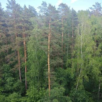 Продается 1-комнатная квартира, 39 м²