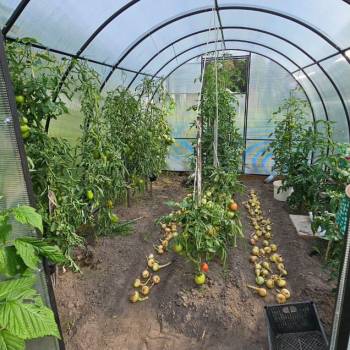 Продается Участок, 610 м²