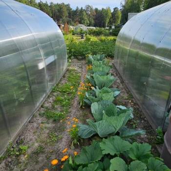 Продается Участок, 610 м²