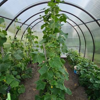 Продается Участок, 610 м²