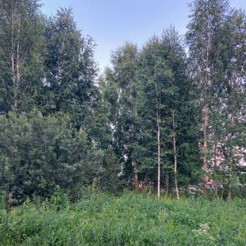 Продается Участок, 500 м²