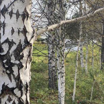 Продается Участок, 700 м²