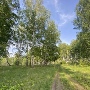 Продается Участок, 800 м²